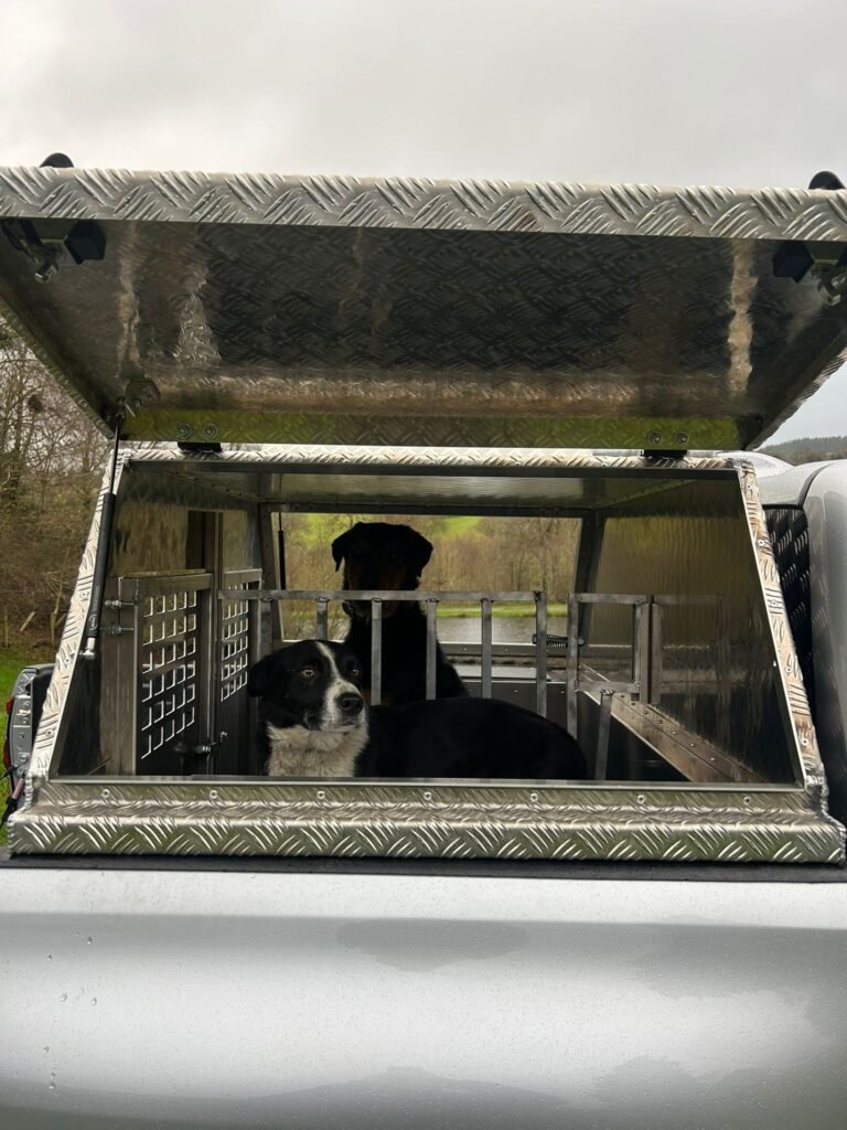 Toyota Canopy