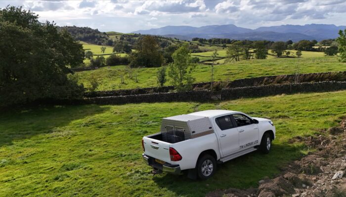 Toyota Canopy Toyota Canopy
